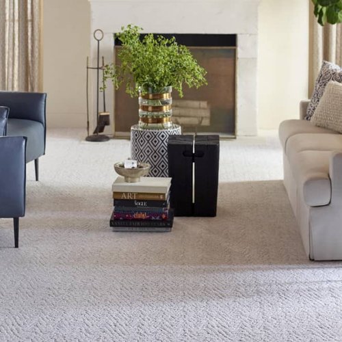 Living Room Pattern Carpet - Color Tile of Medford in Medford, OR