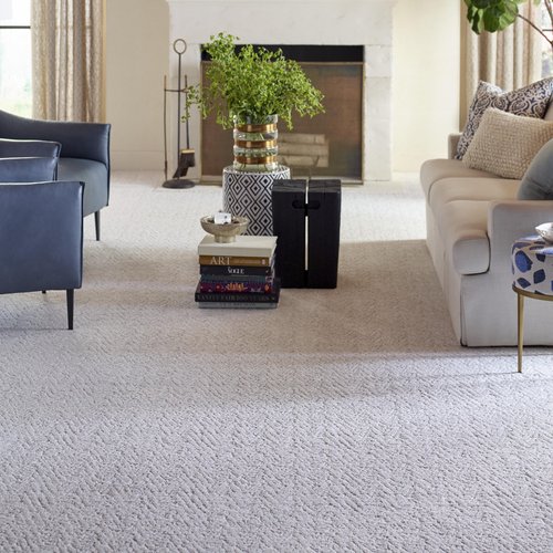 Living Room Pattern Carpet - Color Tile of Medford in Medford, OR