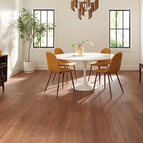 Dining Room Luxury Vinyl Plank LVP - Color Tile of Medford in Medford, OR