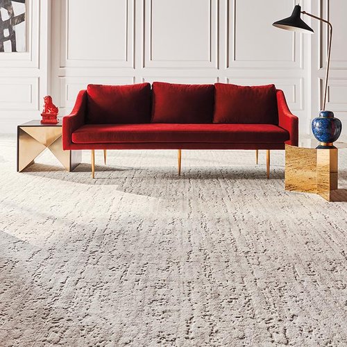 Living Room Pattern Carpet - Color Tile of Medford in Medford, OR